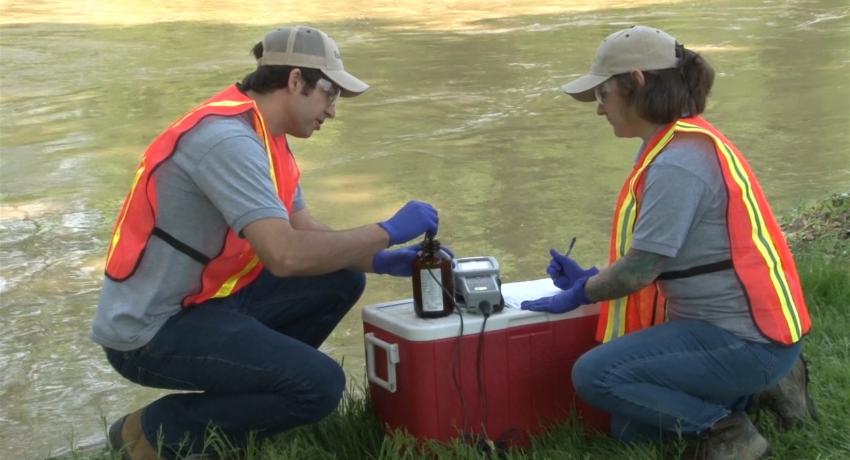 Stream surveys 